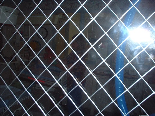 Isabel 3 nursery.JPG