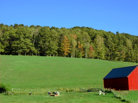 vermont_landscape1.jpg