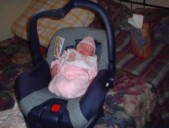 car-seat4.jpg