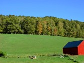 vermont_landscape1.jpg
