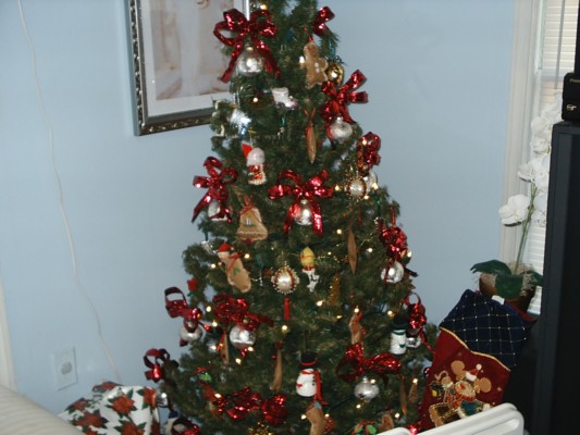 S2010069.JPG