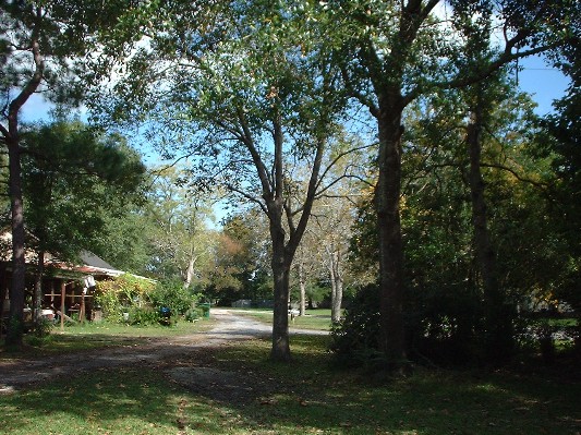 DSCF0247.JPG