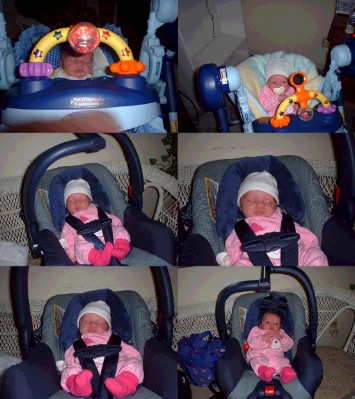 6pics-izzy.jpg