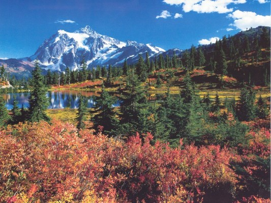 Nature0167.jpg