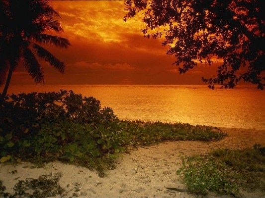 beachz2.jpg
