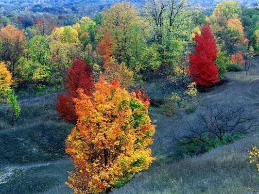 fall-colorsz19.jpg