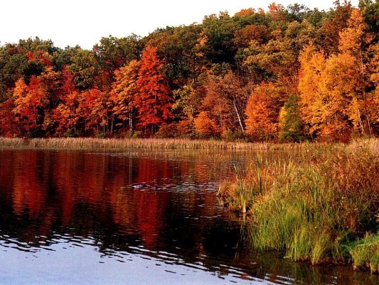 fall-colorsz20.jpg