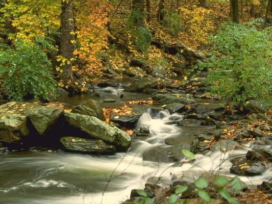 waterfall6.jpg
