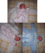 izzt3pics.jpg