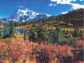 Nature0167.jpg